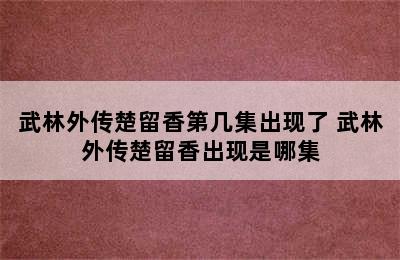 武林外传楚留香第几集出现了 武林外传楚留香出现是哪集